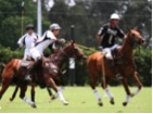 Piaget White wins the Memorial Cup in overtime
