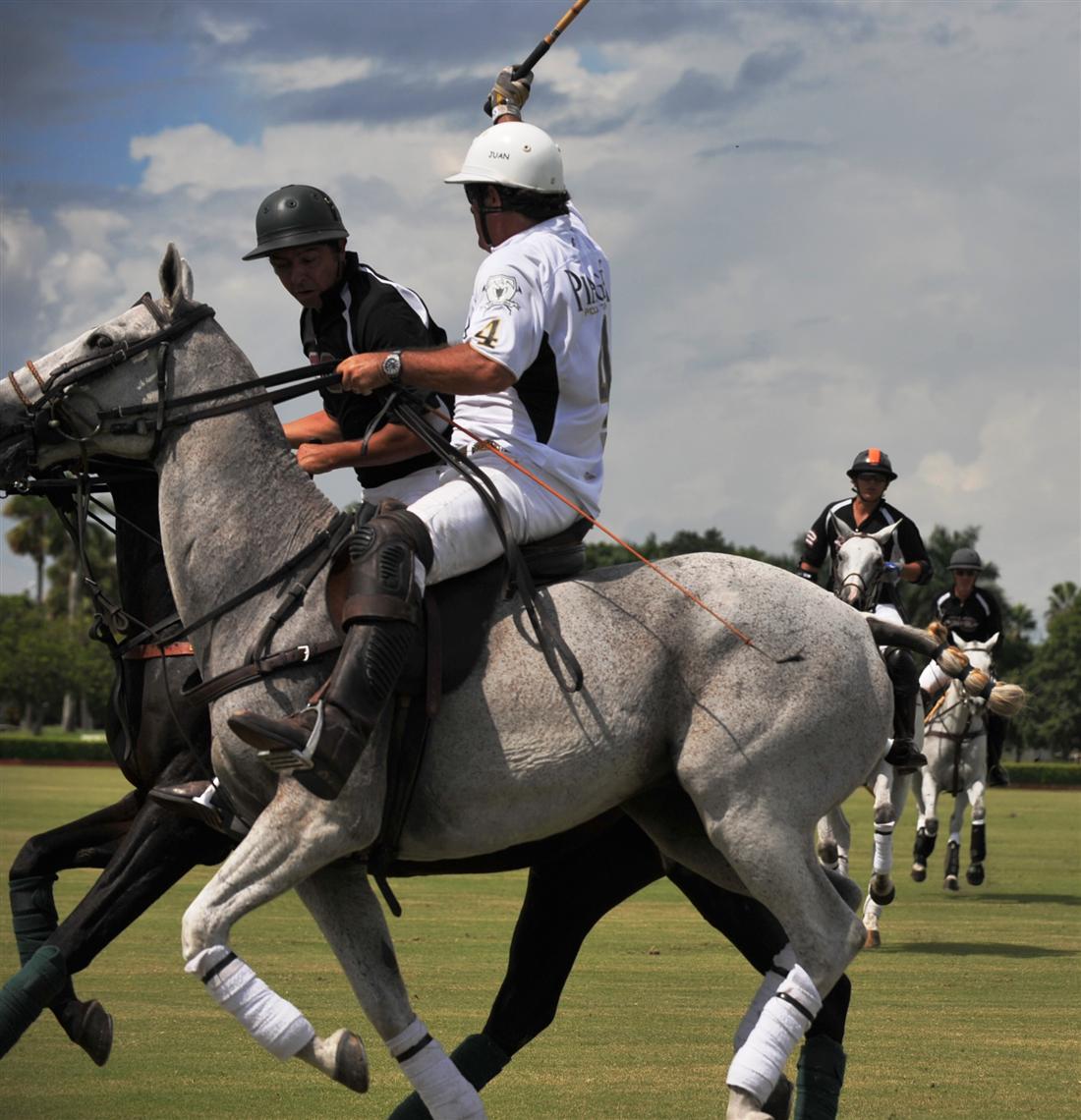 DSC 3352b Ami De La Mer POLO Magazine