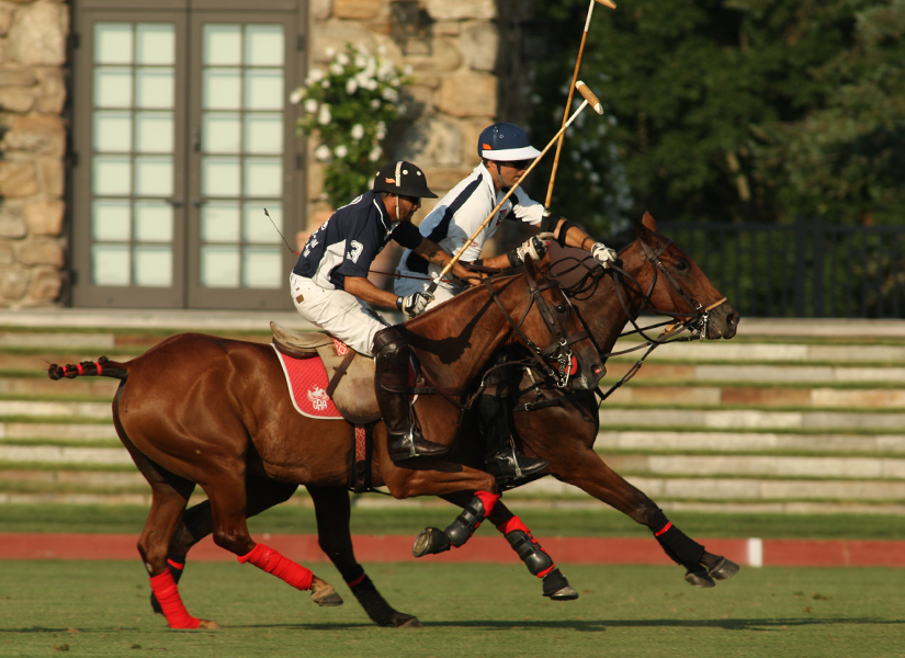 Alex pacheco Polo Photography POLO Magazine East Coast consolation 2