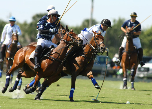 polo gold cup international polo club valiente mt brilliant polo teams alex pacheco photos polo magazine 4